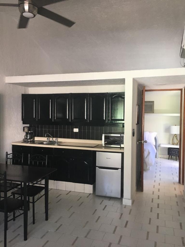 Cozumel-1 Bed 1 Ba Paradise Apartment