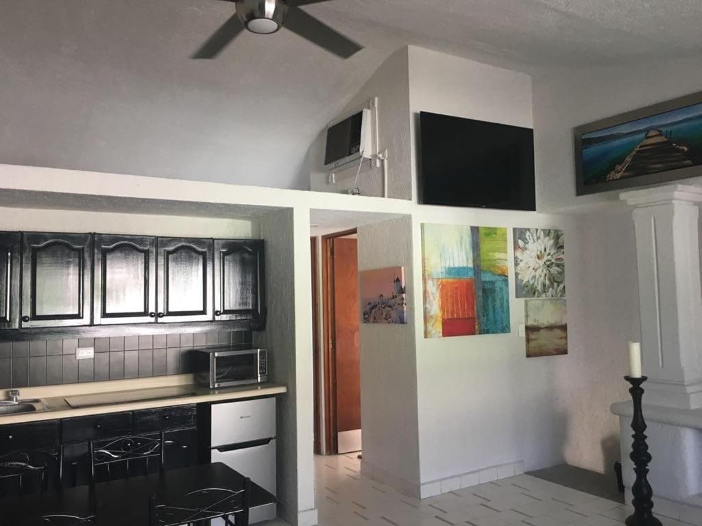 Cozumel-1 Bed 1 Ba Paradise Apartment